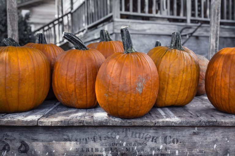 Réplica física de calabazas